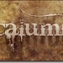 lapsuscalumni3.jpg
