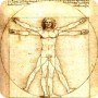 VitruvianManLeonardodaVinci.jpg