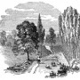 englishcountryside5.jpg