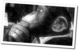 Dr. Archibald Monroe aka The Incredible Speaking Ape!