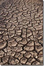 Dry earth in the Sonoran Desert, Sonora - Mexico (c) Tomas Castelazo